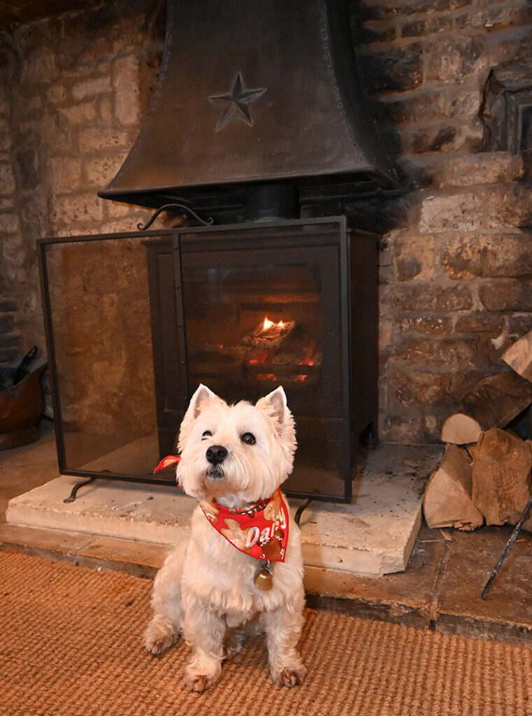 Staying warm by the fire.