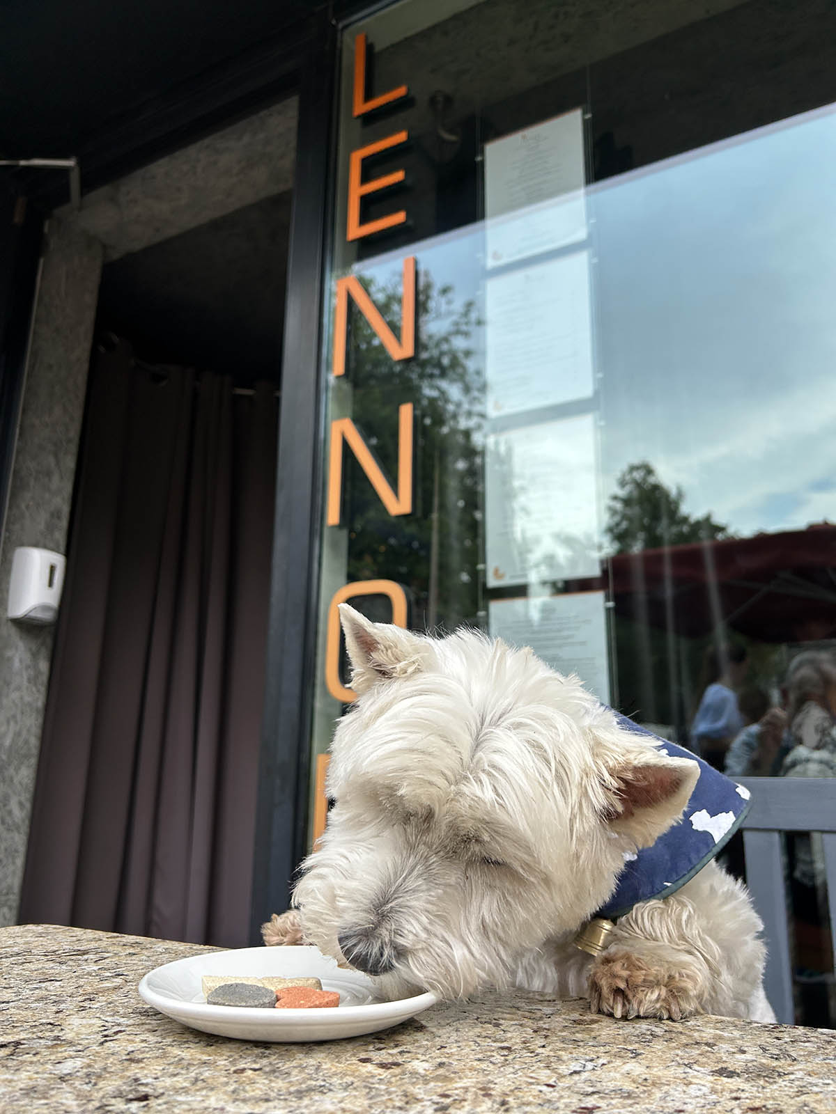 I'm going in! Dog treats at Lennon's in Carlow.