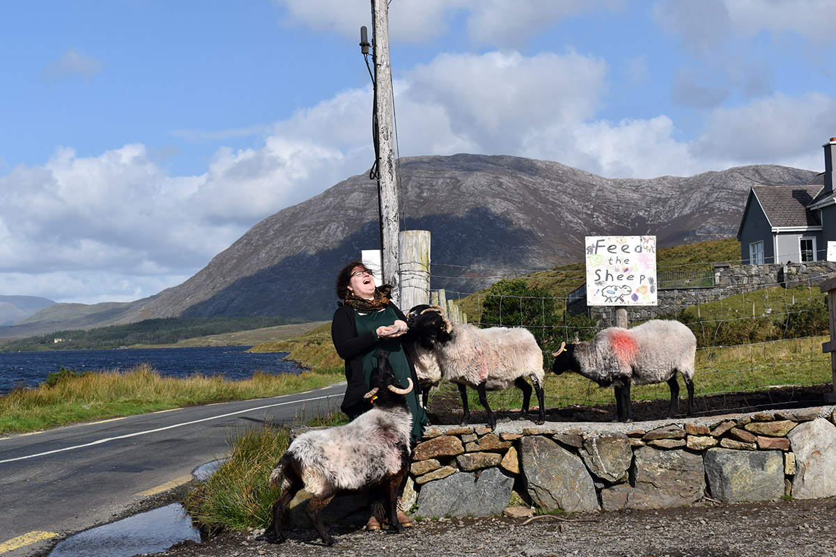 A tourist feeds the sheep near Lough Inagh.
