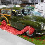 Morris Minor Traveller dressed up with poppies for November.