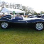 1955 Jaguar D Type