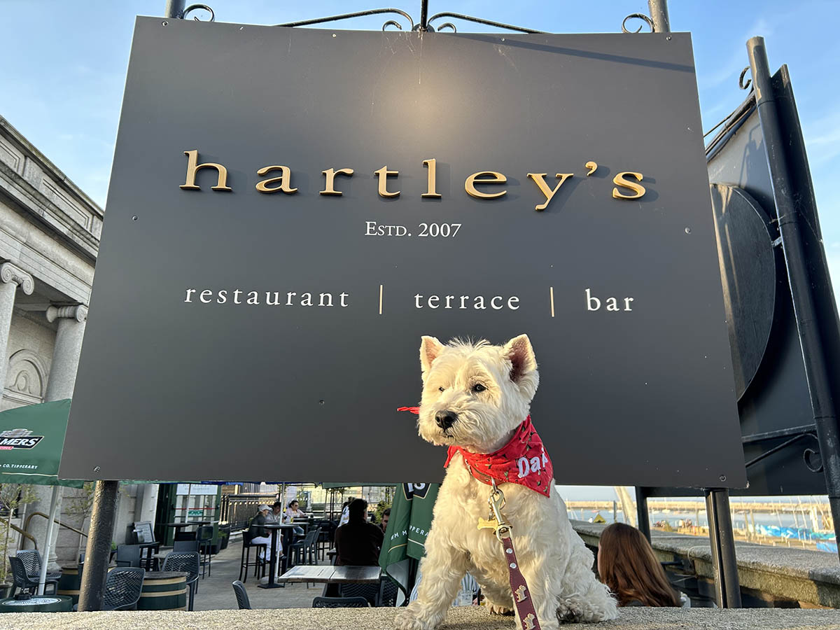 The food at Hartleys in Dun Laoighre was wonderful.