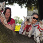 Martina Graham with her doggies, Skye and Millie, Shelly and myself at Phoneix Park.