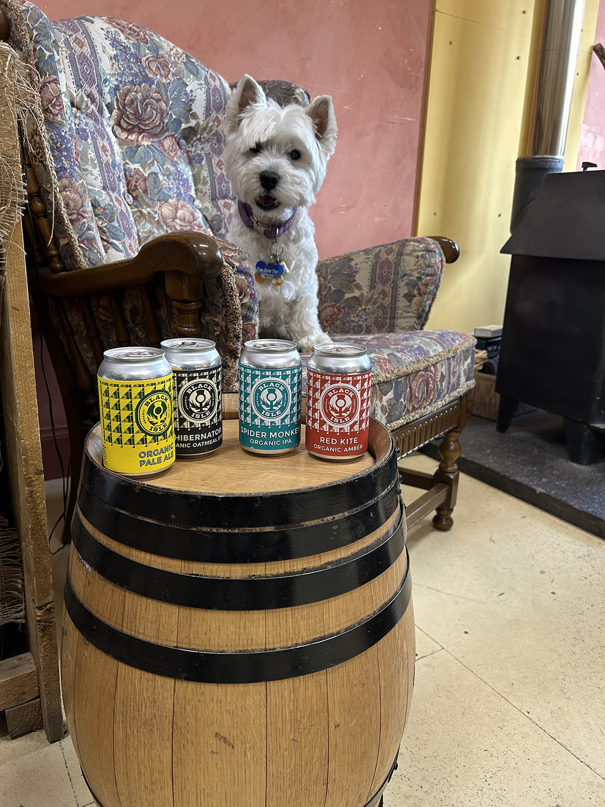 Selecting my organic beers at Black Isle Brewery.