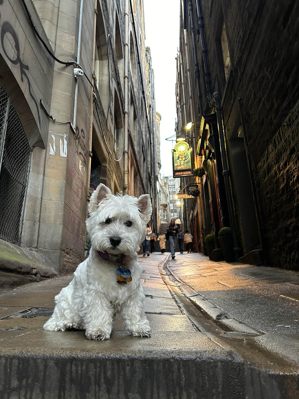 In one of the lovely Edinburgh laneways.