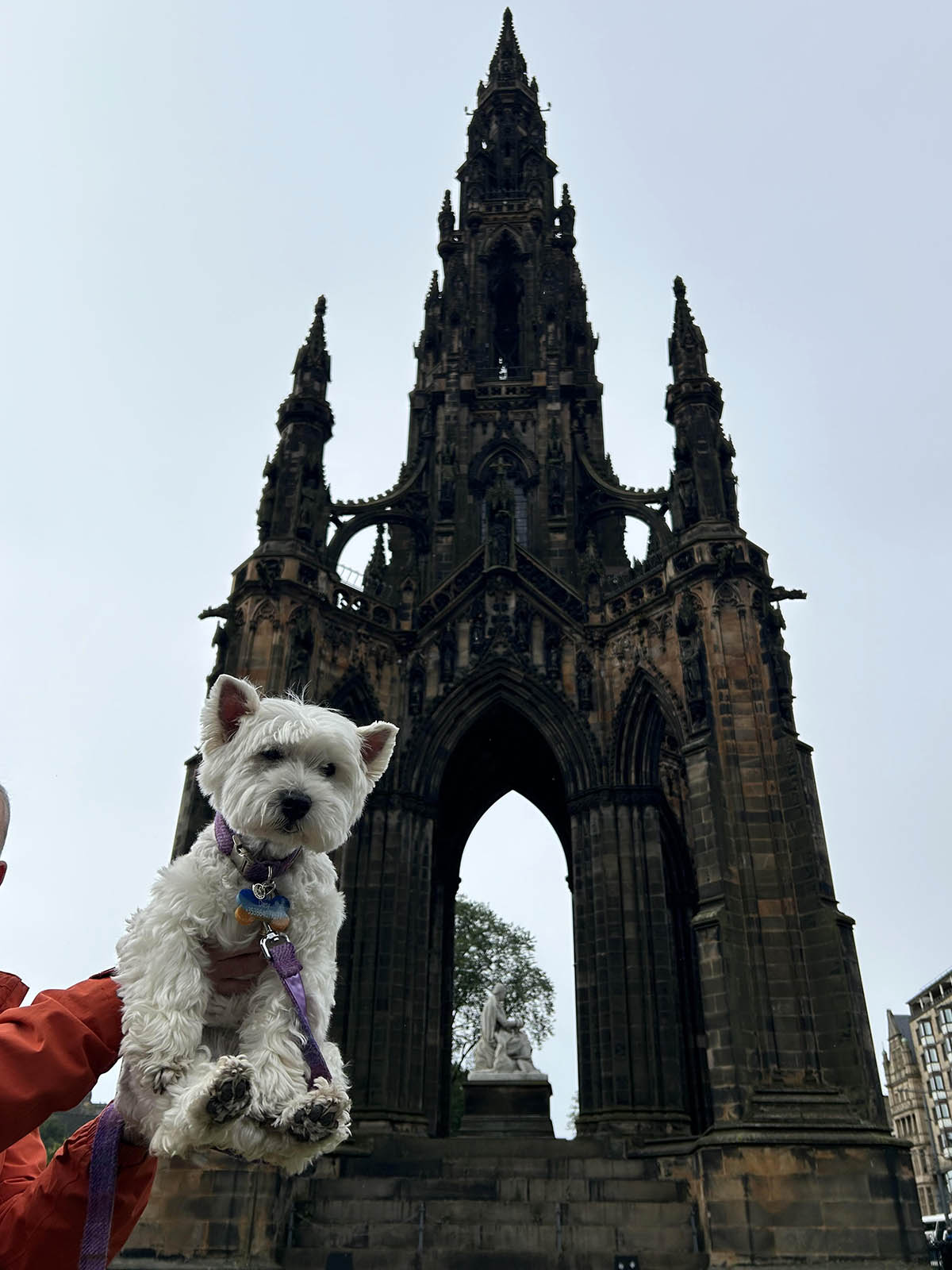 The Scott Monument in Edinburgh.