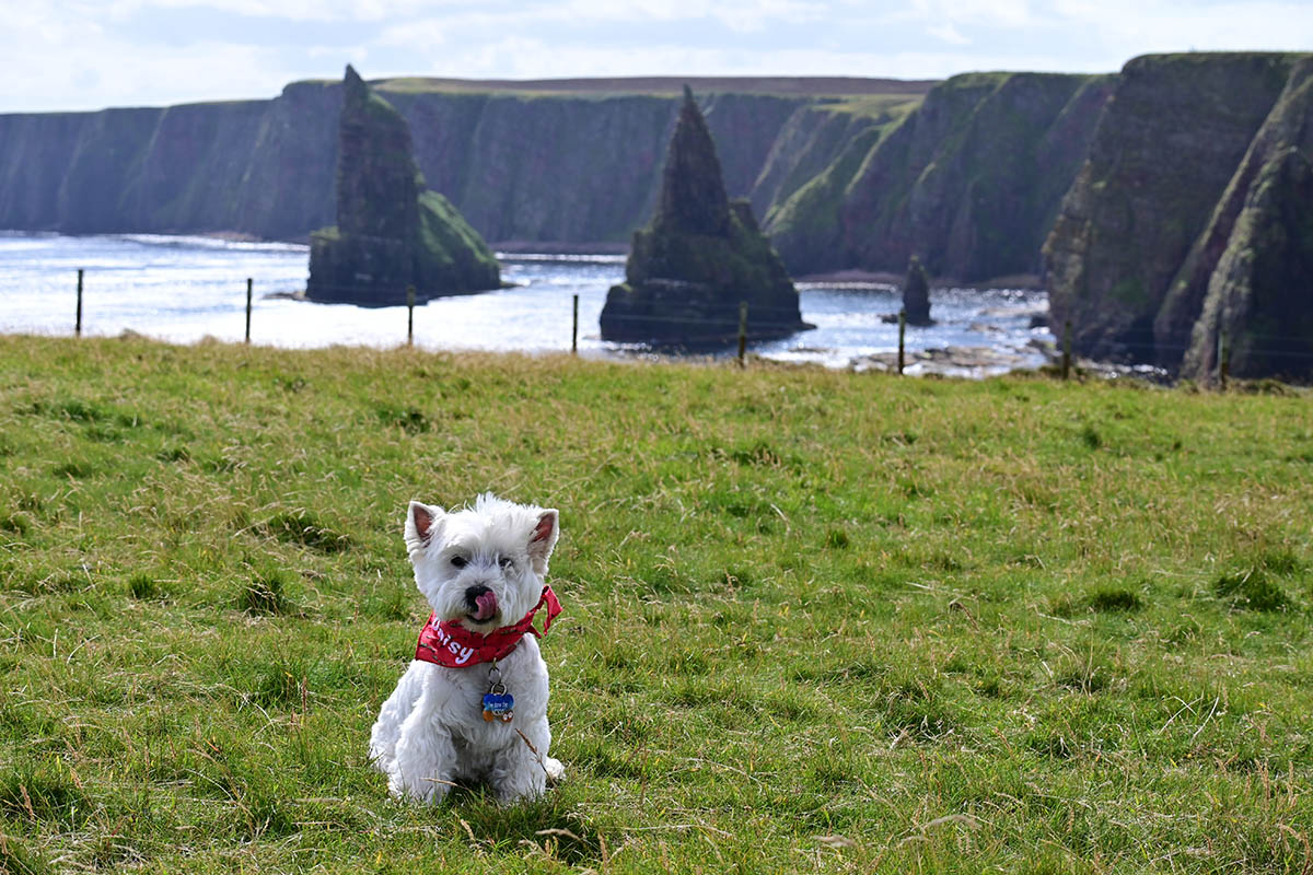 Duncansby Stacks.