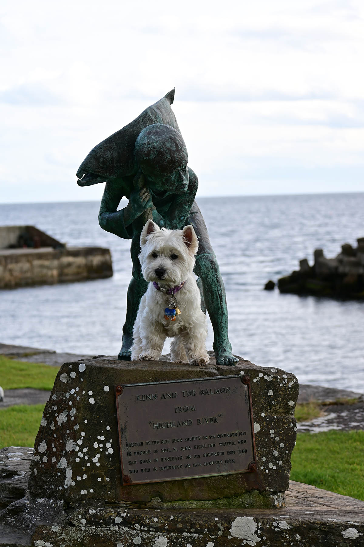 By the harbour at Dunbeath Bay.