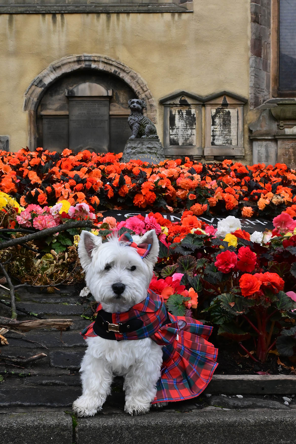 Paying my respects at Greyfriars Bobby's grave.