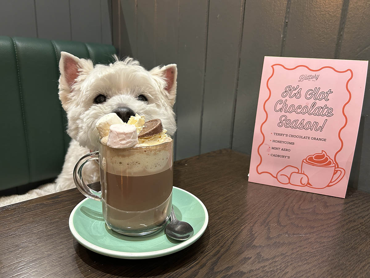 Enjoying a hot chocolate at The Buttery as a change from a dogguccino.