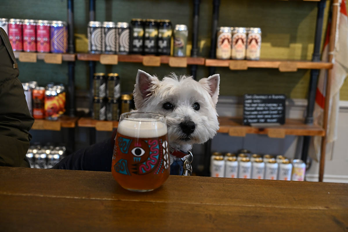 Eyeing up a Christmas Ale at Off the Square.